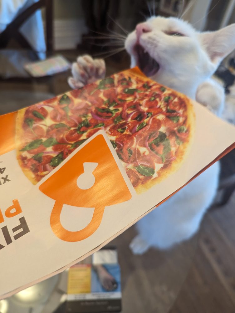 A white cat lunging open-mouthed at a pizza on a delivery flyer
